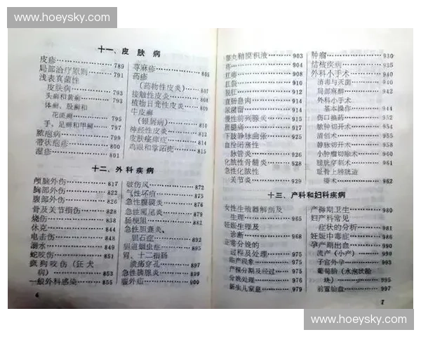 围绕训练手册构建系统化学习与实操能力全面提升综合应用指南方案 围绕训练手册构建系统化学习与实操能力全面提升综合应用指南方案